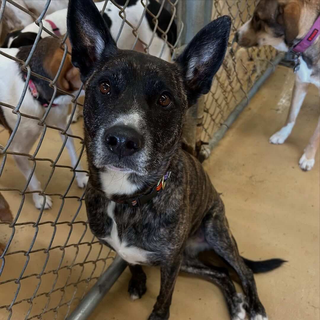 Welcome back Stella! ❤️