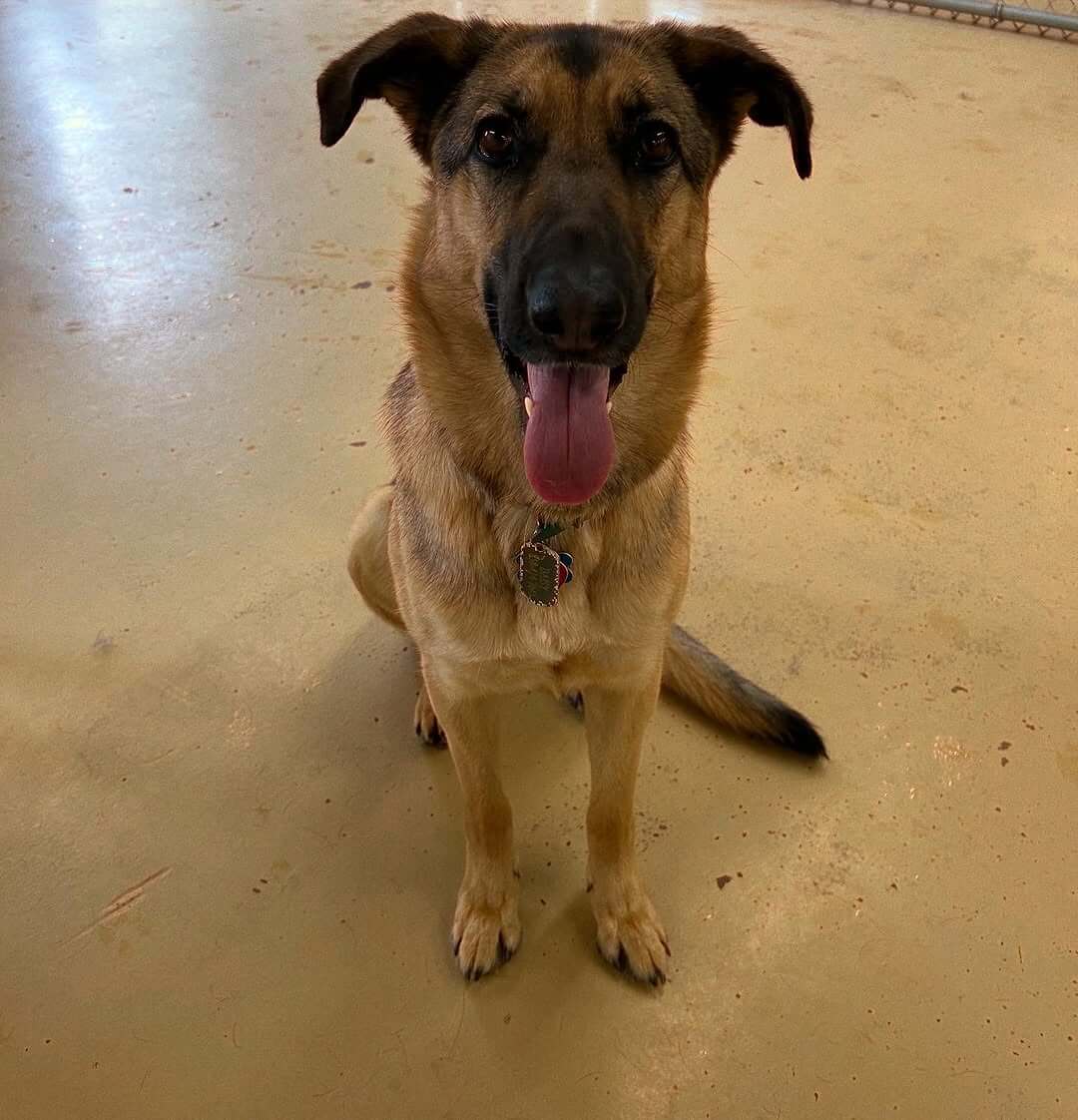 Tongue out Tuesday 😝