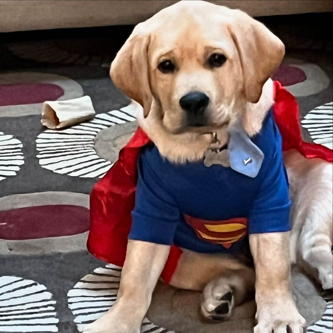 Barney ๐๐ปโค๏ธ