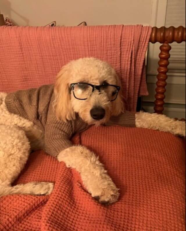 Professor Duncan 🎃👻🦇👨🏼‍🏫