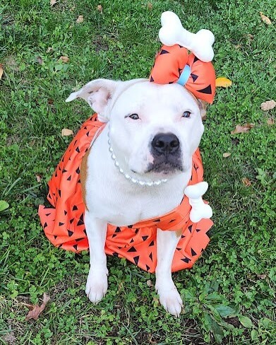 Hadleigh ๐ป๐๐ป๐๐